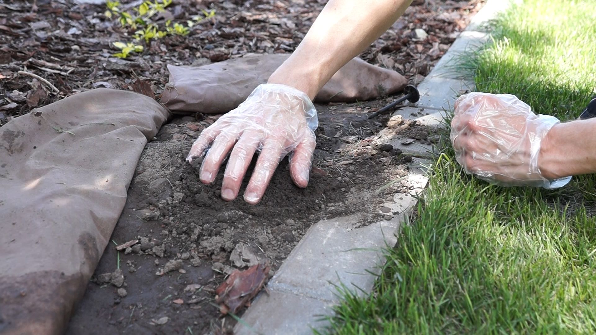 How To Get Rid Of Moles In My Yard For Good