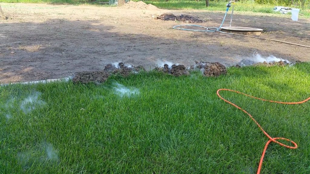 sulfur kill moles gophers yard